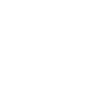 list item image
